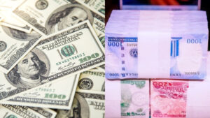 Best currencies to save in: Naira, USD, CAD, or crypto?